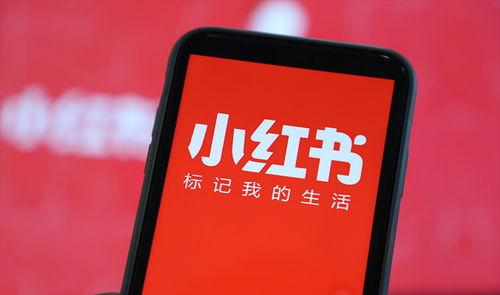 苏州小红书爆料事件最新,揭秘背后真相与网络舆论风暴